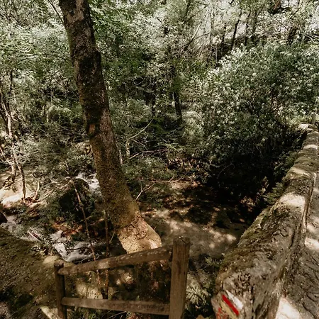 Aldeia Do Pontido Fafe