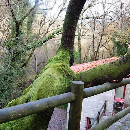 וילה Aldeia Do Pontido פאפה